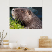 Kerstgroeten Mijn Kleine Bever Poster (Keuken)