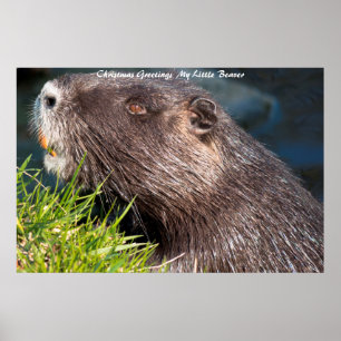 Kerstgroeten Mijn Kleine Bever Poster