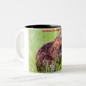Kerstgroeten Mijn kleine bever Tweekleurige Koffiemok (Voorkant links)