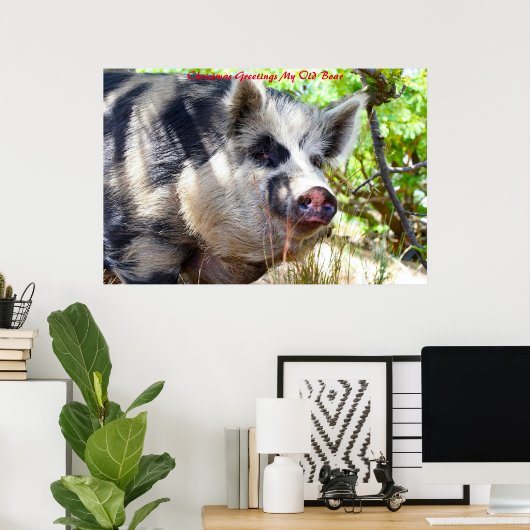 Kerstgroeten Mijn oude Boar Poster (Thuiskantoor)