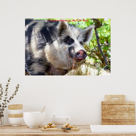 Kerstgroeten Mijn oude Boar Poster (Keuken)