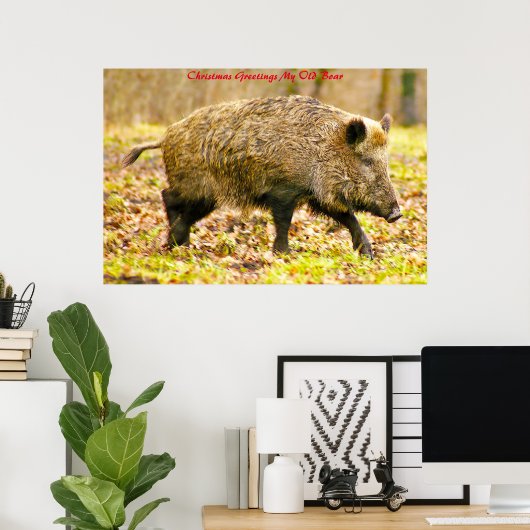 Kerstgroeten Mijn oude Boar Poster (Thuiskantoor)