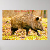 Kerstgroeten Mijn oude Boar Poster (Voorkant)