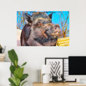 Kerstgroeten Mijn oude Boar Poster (Thuiskantoor)