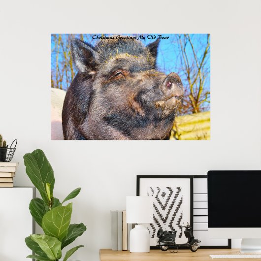 Kerstgroeten Mijn oude Boar Poster (Thuiskantoor)