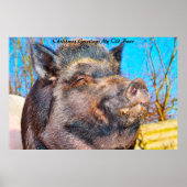 Kerstgroeten Mijn oude Boar Poster (Voorkant)