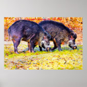 Kerstgroeten Mijn oude Boar Poster (Voorkant)