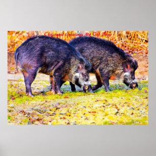Kerstgroeten Mijn oude Boar Poster