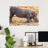Kerstgroeten Mijn oude Boar Poster (Thuiskantoor)