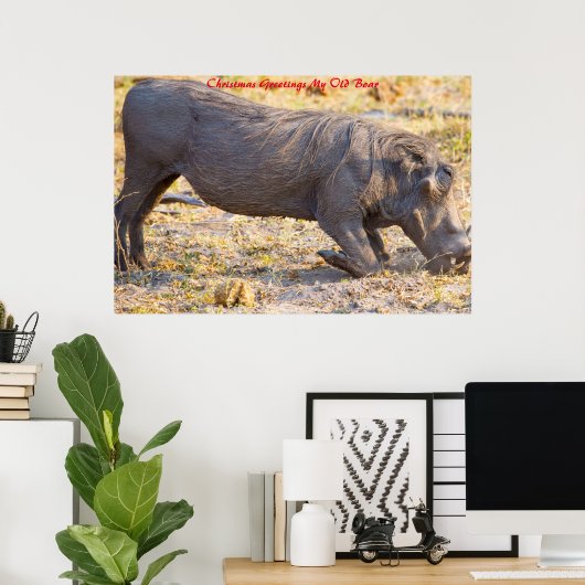 Kerstgroeten Mijn oude Boar Poster (Thuiskantoor)