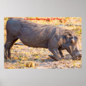 Kerstgroeten Mijn oude Boar Poster (Voorkant)