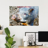 Kerstgroeten Mijn oude Boar Poster (Thuiskantoor)