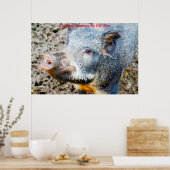 Kerstgroeten Mijn oude Boar Poster (Keuken)