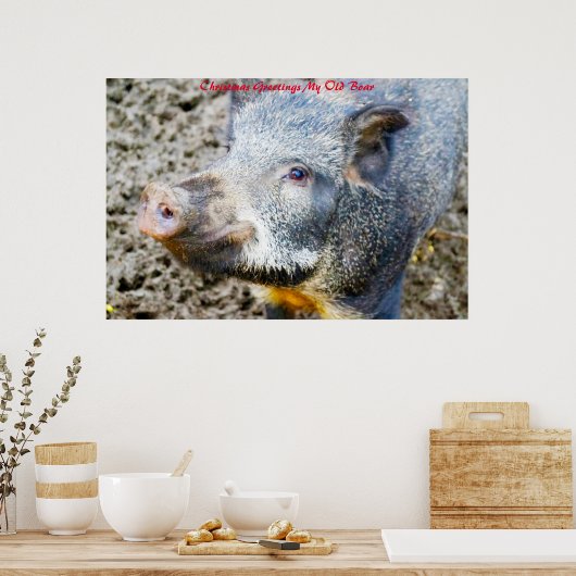 Kerstgroeten Mijn oude Boar Poster (Keuken)