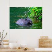 Kerstgroeten, mijn rivierrat poster (Keuken)