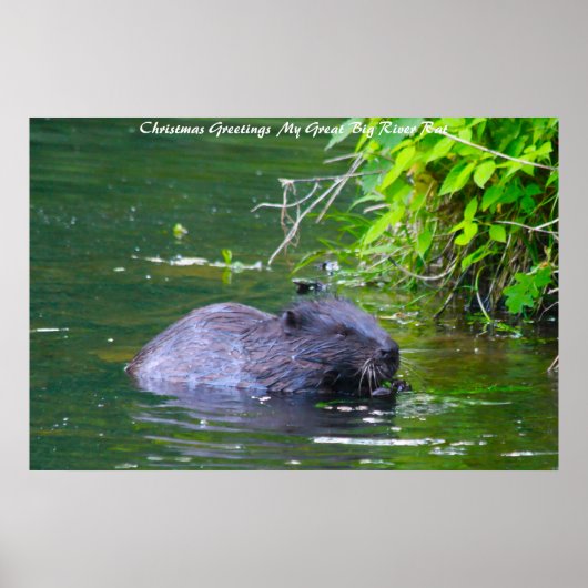 Kerstgroeten, mijn rivierrat poster (Voorkant)