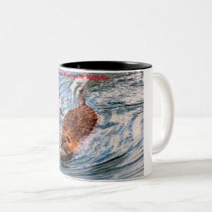Kerstgroeten M'n Kleine Bever Tweekleurige Koffiemok