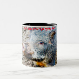 Kerstgroeten M'n Oude Beer Tweekleurige Koffiemok
