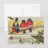 Kerstgroeten - ontwerp voor vogels feestdagenkaart (Voorkant / Achterkant)