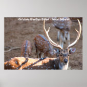 Kerstgroeten opa Hunter Gatherer Poster (Voorkant)