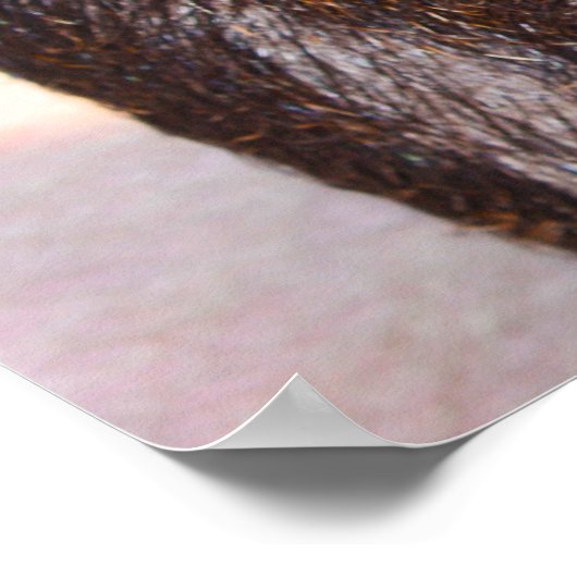 Kerstgroeten Papa Hunter Gatherer Poster (Hoek)