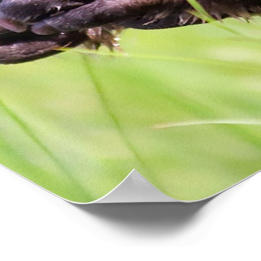 Kerstgroeten Papa Hunter Gatherer Poster (Hoek)