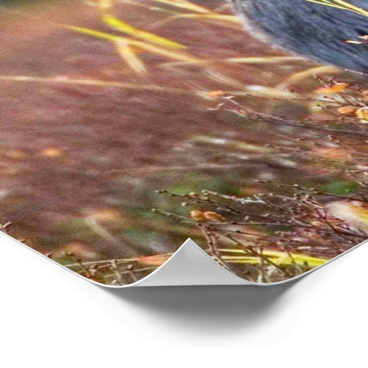 Kerstgroeten Papa Hunter Gatherer Poster (Hoek)