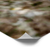 Kerstgroeten Papa Hunter Gatherer Poster (Hoek)