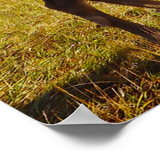 Kerstgroeten Papa Hunter Gatherer Poster (Hoek)