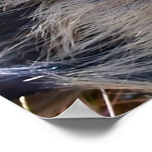 Kerstgroeten Papa Hunter Gatherer Poster (Hoek)