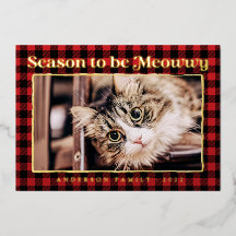Kerstgroeten Plaid Grappige Huisdier Kat Foto