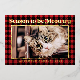 Kerstgroeten Plaid Grappige Huisdier Kat Foto Folie Feestdagenkaart
