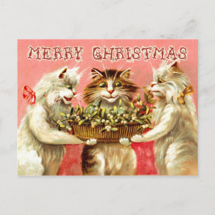 Kerstgroeten van katten met maretak feestdagenkaart