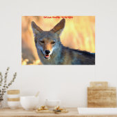 Kerstgroeten van mijn oude Coyote Poster (Keuken)