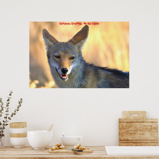 Kerstgroeten van mijn oude Coyote Poster (Keuken)