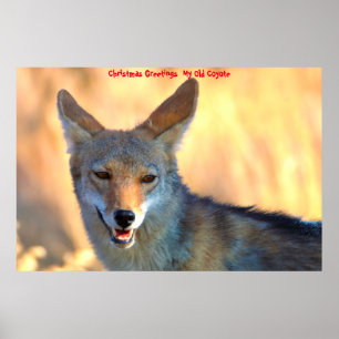 Kerstgroeten van mijn oude Coyote Poster