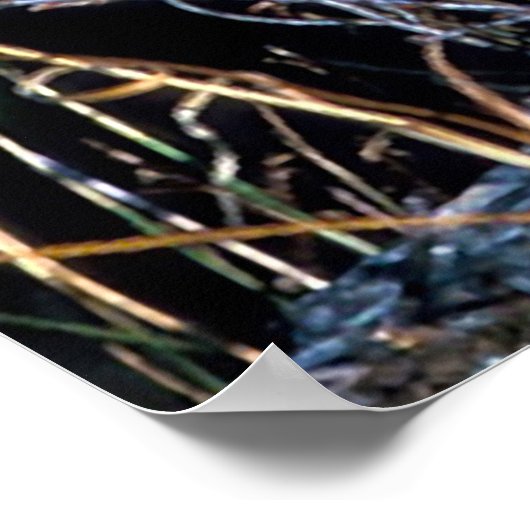 Kerstgroeten van mijn oude Coyote Poster (Hoek)