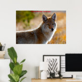 Kerstgroeten van mijn oude Coyote Poster (Thuiskantoor)