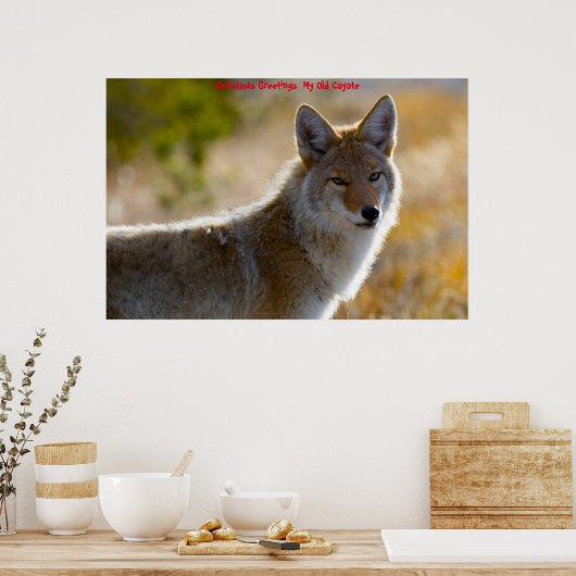 Kerstgroeten van mijn oude Coyote Poster (Keuken)