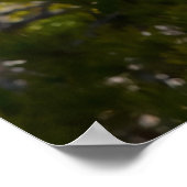 Kerstgroeten van mijn oude Coyote Poster (Hoek)