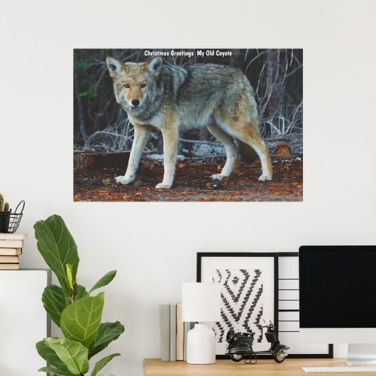 Kerstgroeten van mijn oude Coyote Poster (Thuiskantoor)