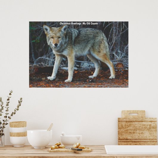Kerstgroeten van mijn oude Coyote Poster (Keuken)