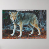 Kerstgroeten van mijn oude Coyote Poster (Voorkant)