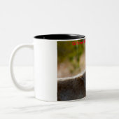 Kerstgroeten van mijn oude Coyote Tweekleurige Koffiemok (Links)