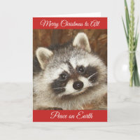 kerstgroeten van Pixie Raccoon