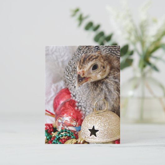 KerstGuinee Feestdagenkaart (Staand voorkant)