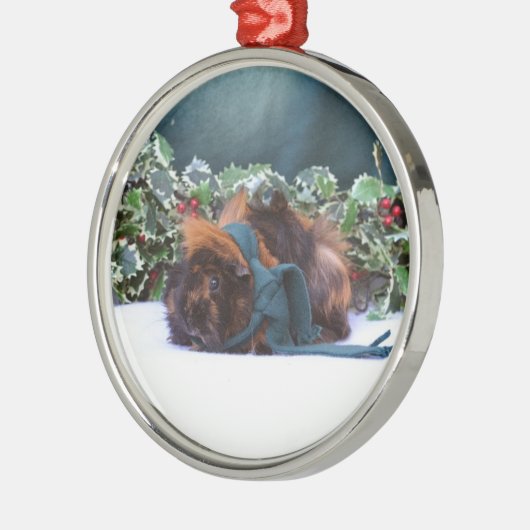 KerstGuinee Pig Ornament (Links)