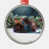 KerstGuinee Pig Ornament (Voorkant)