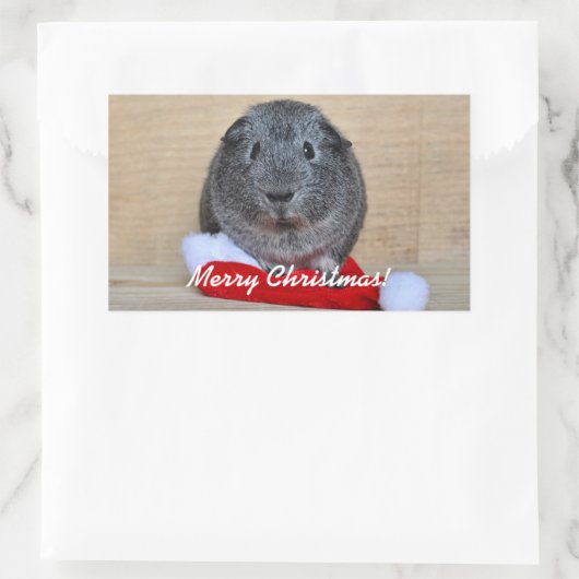 KerstGuinee Rechthoekige Sticker (Tas)