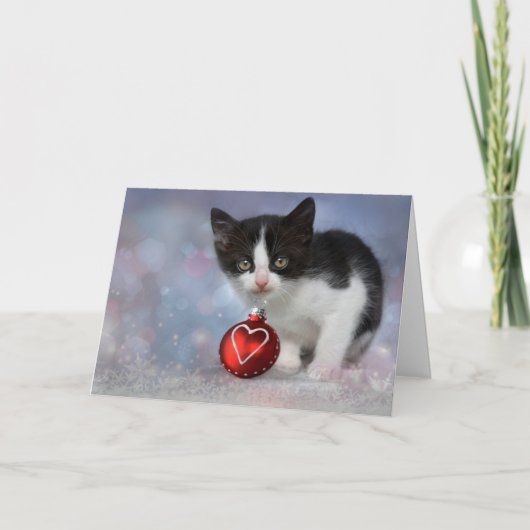 Kersthart Ornament Kitten Feestdagen Kaart (Voorkant)